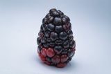 Blackberry