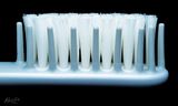 Bristles