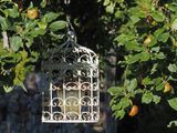 Mangeoirs /Anti-Gros-Oiseaux