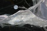 SUR LE FLEUVE  -37 / LE GLACIER PLANETARIUM ( NO PhotoShop )