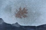 CIEL DE GLACE
