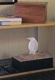 UN SPECTRE DE CORBEAU ALBINOS DANS MA CHAMBRE (Pas de manipulation ni PhotoShop)