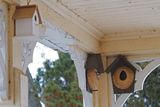 Nouveaux dortoir en cabane
