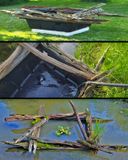 BASSIN ANTI-ALGUE POUR PLANTES OXYGNANTES