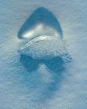 CAGOULE TUQUE ET LUNETTE