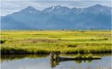 Potter Marsh