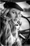 Model_2681