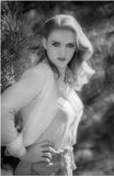 Model_019