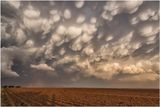 Texas_3065