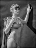 Model_1526