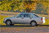 Mercedes_0749