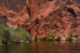 GLEN CANYON NATURES WALL ART