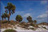 Clearwater Beach 