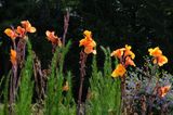 DSCF6744.JPG