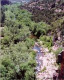 Sedona 42.jpg