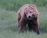 IMG_1061.jpg