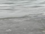 421541040_10159766750165796_2573678759594174488_n.jpg