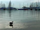 Williamstown Marina - Port Phillip Bay
