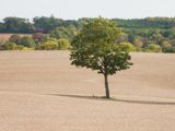 PA110153_DxO_1-Small-1.jpg