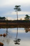 DSC_0237_DxO.jpg
