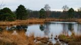 DSC_0249_DxO.jpg