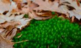 DSC_0297_DxO.jpg