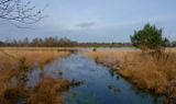 DSC_0299_DxO.jpg