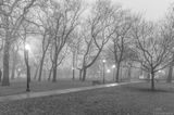 A Foggy NYE in Cleveland