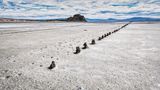 Salted Pilings