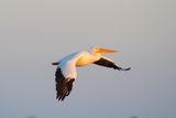 IMG_0004.JPG