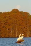 IMG_0065.JPG