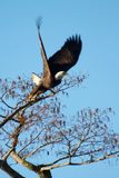 IMG_0560.JPG