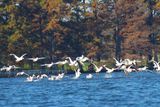 IMG_0723.JPG