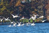 IMG_0726.JPG