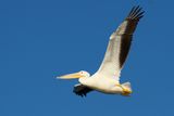 IMG_0753.JPG