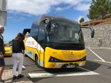 Cmara de Lobos (Yellow bus)