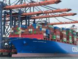 COSCO SHIPPING LEO - 2018 - IMO 9783502