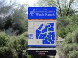 THE RIPARIAN PRESERVE . GILBERT . ARIZONA . USA . 25 . 3 . 2024.jpg
