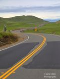  Sutter Buttes 2024