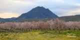  Sutter Buttes 2024