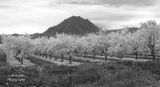  Sutter Buttes 2024