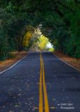 Around Lodi