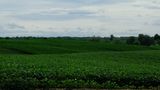 DSCF5381.JPG
