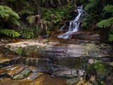 Blue Mountains Mar 2024_GFA6598s.jpg