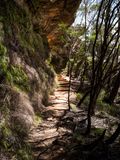 Blue Mountains Mar 2024_GFA6768s.jpg