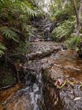 Wentworth Falls Mar 2024_GFA6469s.jpg