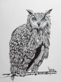 Normand Perron Art