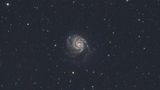M101