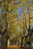 Banyoles (Pla de lEstany)