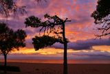 Malgrat de Mar (El Maresme)